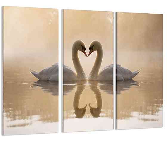 Модульна картина Лебеді Art-206_XXL Київ