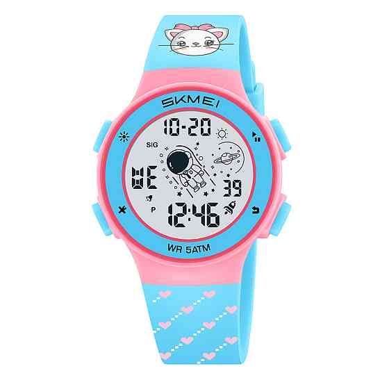 Skmei 2267CT Cat Киев