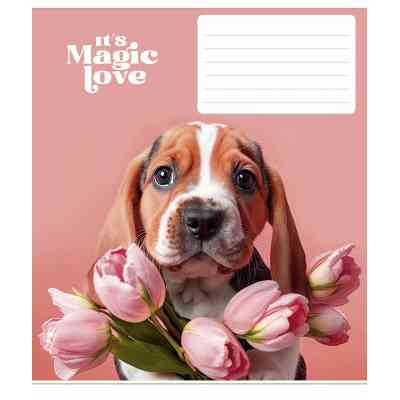 Зошит Школярик It's a magic love 12 аркушів лінія (012-3300L) Вінниця