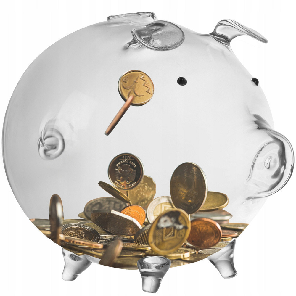Cтеклянная Копилка для монет и банкнот в виде свиньи Ruhhy (22588) Нововолынск - изображение 1