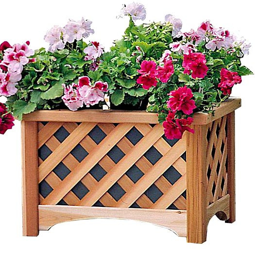 Кашпо "Короставник" мускат Миколаїв - фото 1