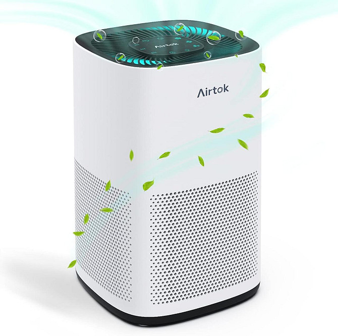 Очиститель воздуха AIRTOK AP1001 с фильтром H13 True HEPA на 75 м.кв. Днепр - изображение 1