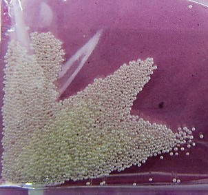 Бульонки для ногтей № 1 белый . Киев - изображение 1