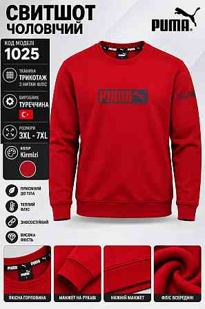Мужской зимний батальный свитшот PUMA  ESSENTIALS+ FLEECE MEN'S HOODIE Сумы