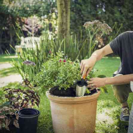 Садовий совок Fiskars 'Premium Planters" (137200/1000726) Нововолинськ