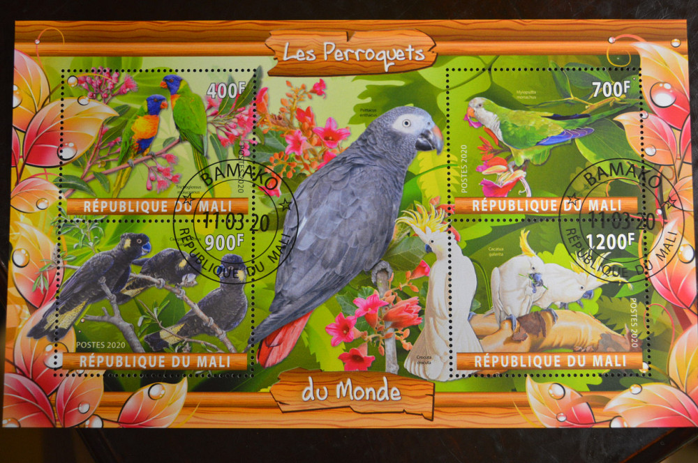 Мали. Марки. Фауна. Блок. 2020 год (В-2) Полтава - изображение 1