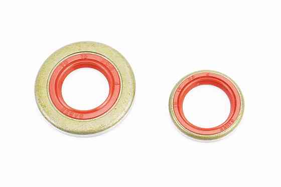 Сальники к-кт 2шт (15x22x4; 15x29, 6x4) MS-361/362, метал Київ