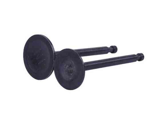 Клапани на бензиновий двигун 188F, к-т: 2 шт. Мукачево