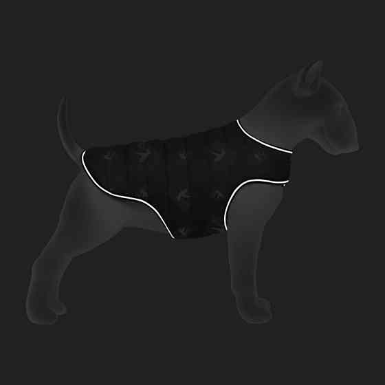 Курточка-накидка для собак WAUDOG Clothes, малюнок "Флаг", XXS, А 23 см, B 29-36 см, С 14-20 см Вінниця