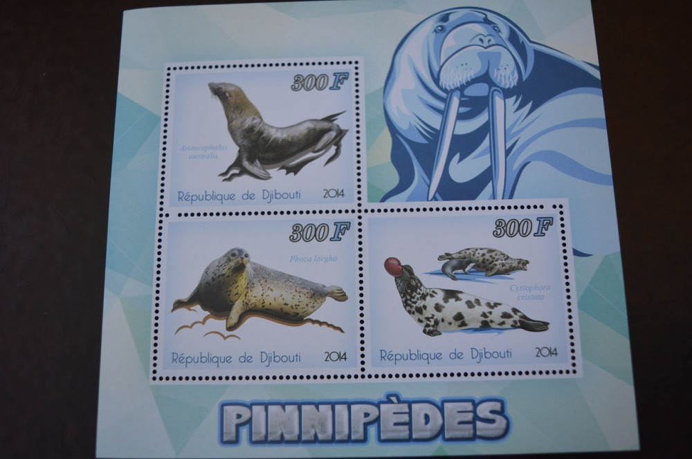 Джибуті. Марки. Фауна. Блок. 2013 рік (А-22) Полтава - фото 1