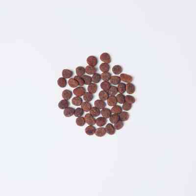 Сухой корм для кошек Carnilove True Fresh Cat Turkey 340 г (8595602561445) Винница