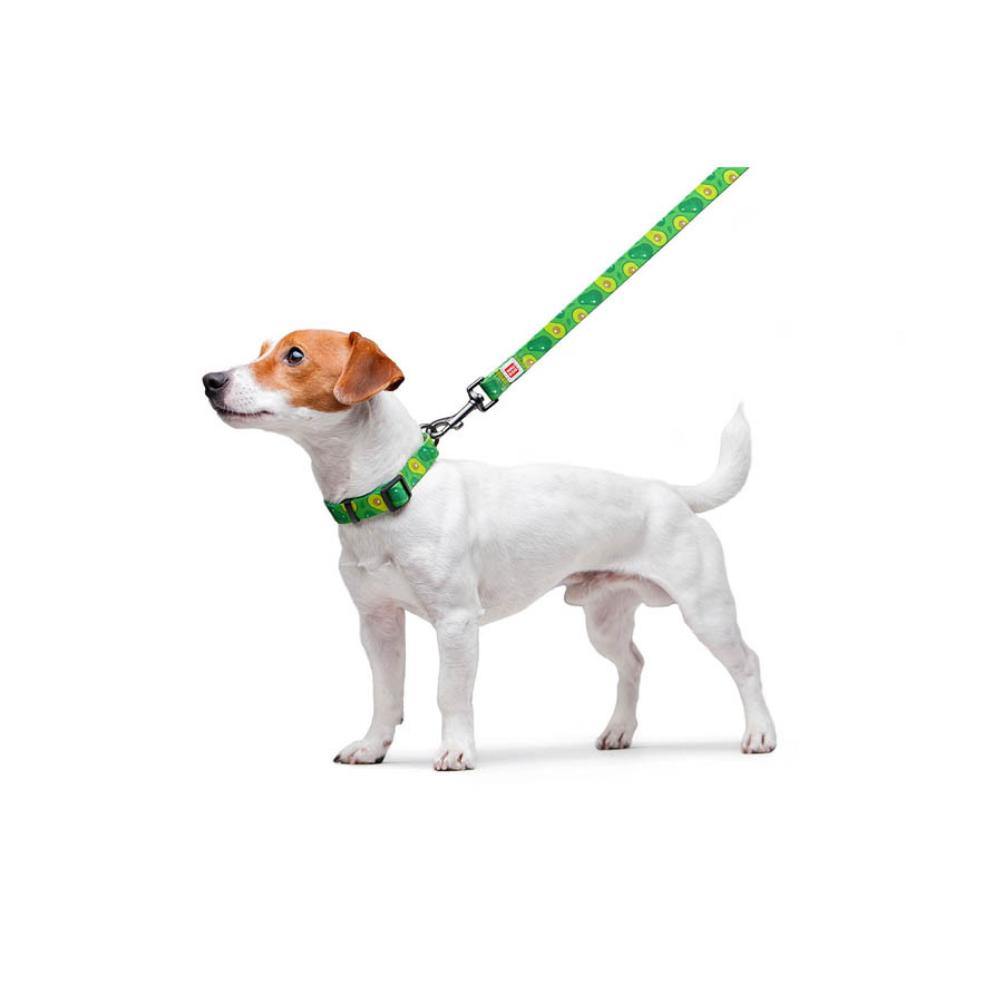 Повідець для собак нейлоновий WAUDOG Nylon, малюнок "Авокадо", Ш 20 мм, Дов 122 см Коломия - фото 3