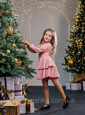 Дитяче плаття з вишивкою на рукавах Поділля-колоски Кривий Ріг