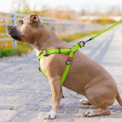 Шлей для собак WAUDOG Waterproof с QR-паспортом XS Ш 15 мм Д 30-39 см салатовая (27635) Винница - изображение 4