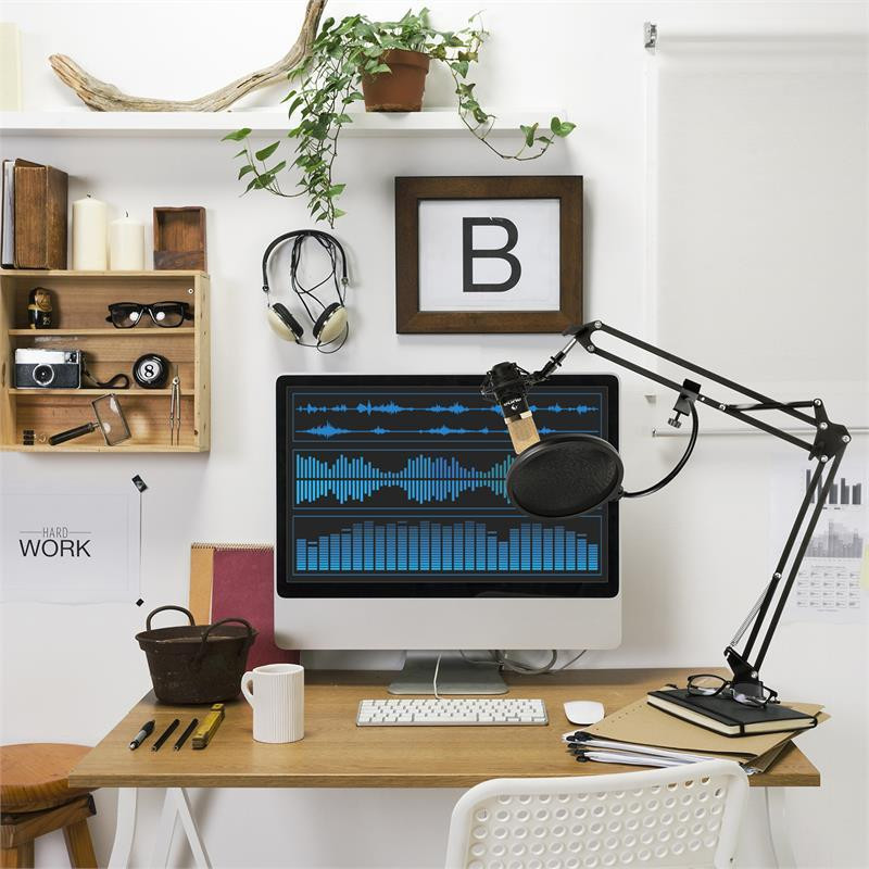 MIC-900BG Комплект USB-мікрофонів Конденсаторний мікрофон V4 із захистом від попмузики Кронштейн мікрофона Рівне - фото 2