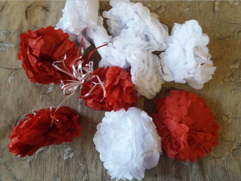 Набор помпы бумажные б/у Киев - изображение 1