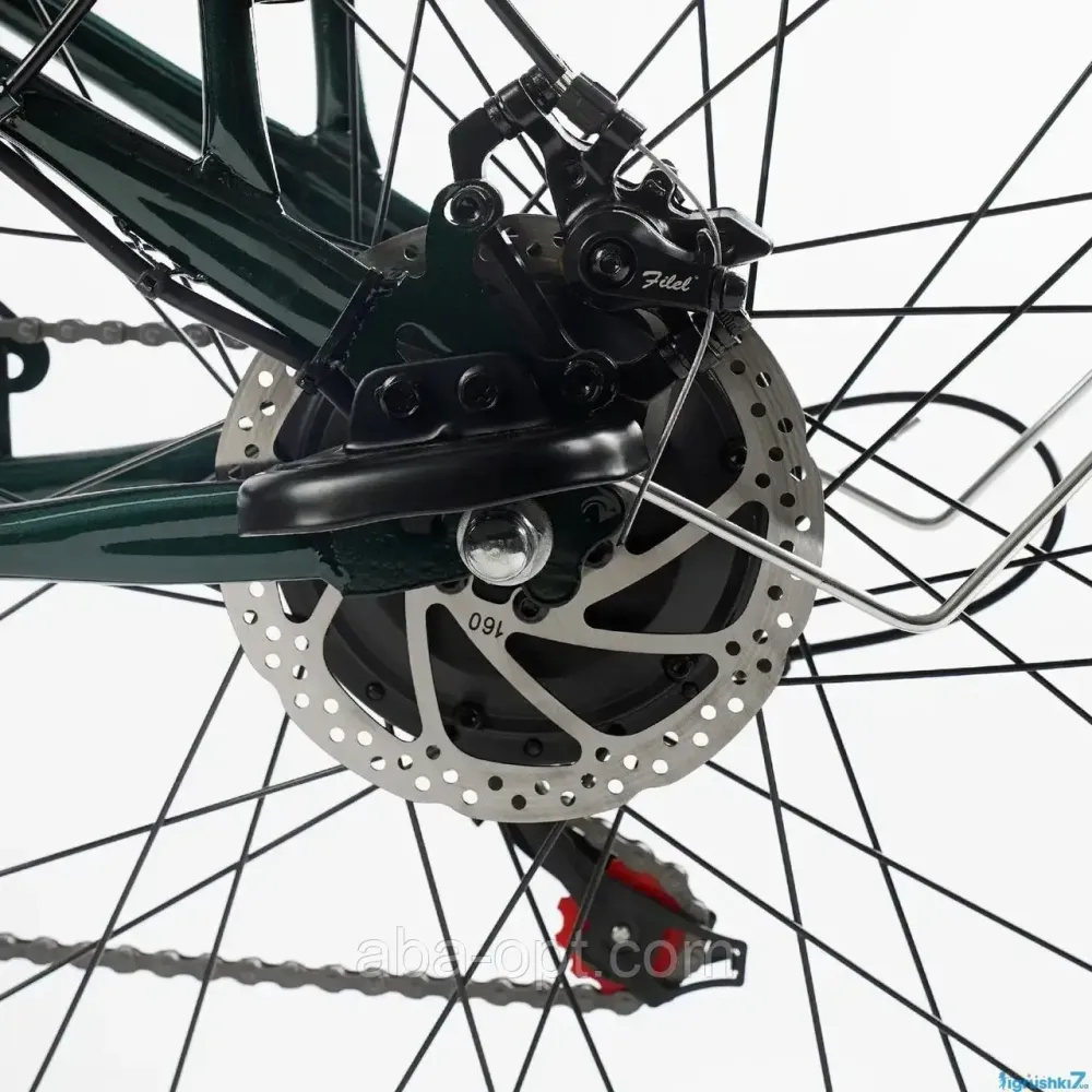 Электровелосипед Corso ROCCO 500W-48Вт-20А/ч Lition шины 26«-26» купить в интернет магазине Одесса - изображение 5