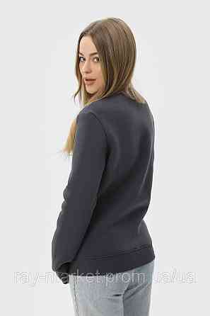 Світшот жіночий базовий утеплений RAY BASIC темно-сірий (U0301W-Dark Grey) Київ