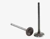 Клапаны (пара, голые) PR 250 ST Мукачево