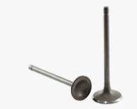 Клапаны (пара, голые) PR 250 ST Мукачево - изображение 1