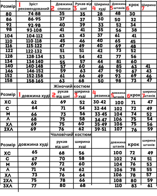 Дитячий теплий костюм з полар флісу (худі з капюшоном+штани)Графіт Кам'янець-Подільський - фото 2