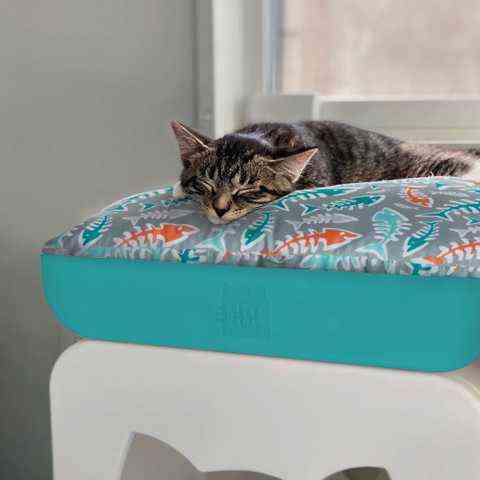 Jolly Pets Kitty Kasa Penthaus Bed (Джолли Петс Китти Каса Пентхаус Бед) кровать - лежак для котов Запорожье
