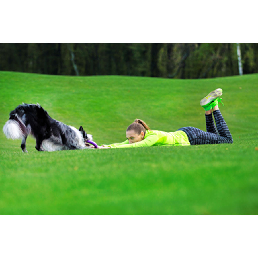 Тренувальний снаряд для собак PULLER Midi, (діаметр 19,5 см) Коломия - фото 2