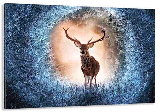 Картина полотно  у вітальню / спальню     Олень       MLP_146  ( 60х30см ) 40x80 см Київ