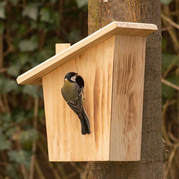 Скворечник садовый 