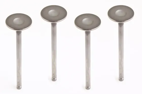 Клапана Aveo 1.6 AMP Ultra азотир. впускные (Lacetti) (4 шт.) Винница