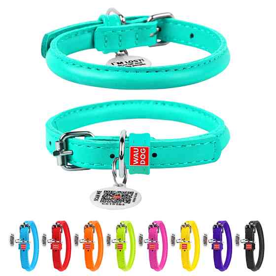 Нашийник для собак шкіряний WAUDOG Glamour з QR паспортом, круглий, Д 8 мм, Дов 20-25 см ментол Коломыя
