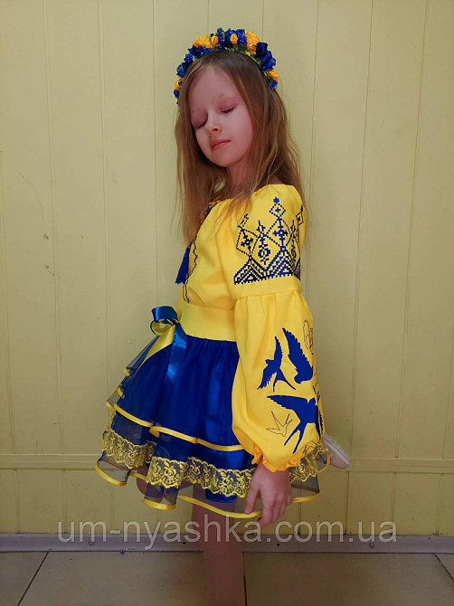 Синьо-жовтий костюм вишиванка "Ластівки-мереживо" Кривий Ріг - фото 10