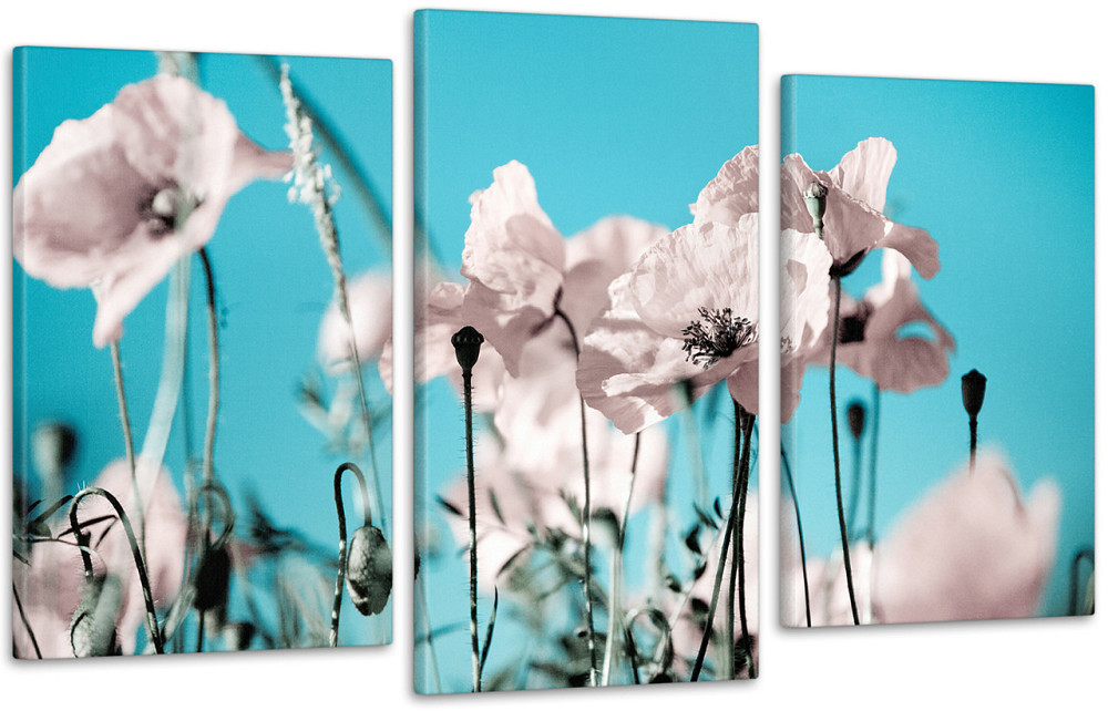 Модульна картина Квіти Art-17_3 Київ - фото 1