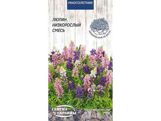 Люпин низькорослий (суміш) МН 0,5г (10 пачок) ТМ СЕМЕНА УКРАИНЫ   Solmir Київ