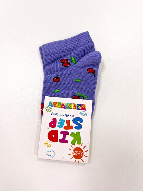 Носки детские хлопковые Master Step арт.819 в ассорт. на 34-37 размер Черновцы - изображение 2