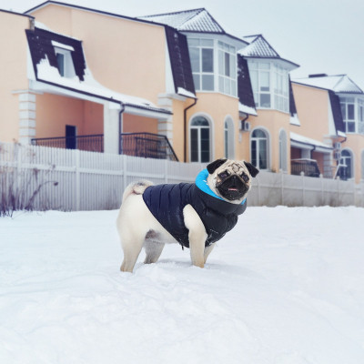 Курточка для животных Airy Vest двусторонняя XS 22 чёрно-голубая (1713) Винница - изображение 2