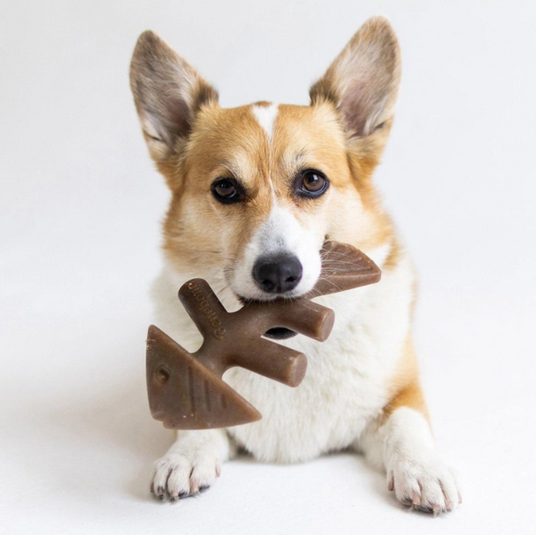 Жувальна іграшка для собак Бенебон Benebone Fishbone Salmon зі смаком лосося для собак до 54 кг (розмір Ciant) Вінниця - фото 3