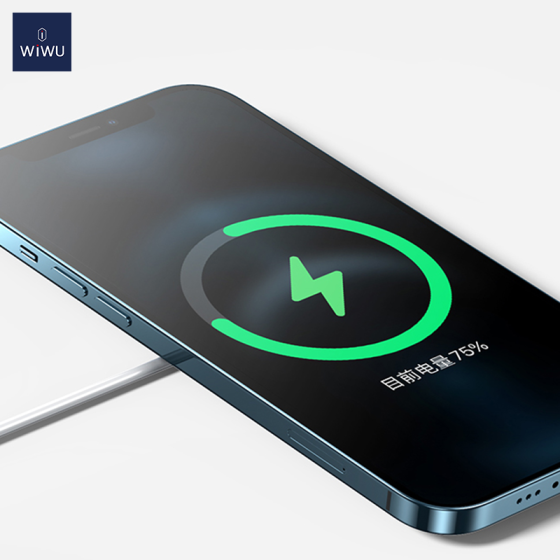 Бездротовий зарядний пристрій WIWU Wi-W009 Magnetic Wirless White Одеса