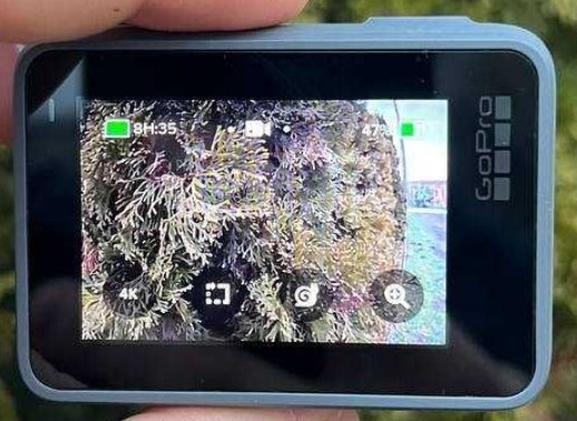 Екш- Камера GoPro Hero 7 Action Camera Silver. Киев - изображение 1