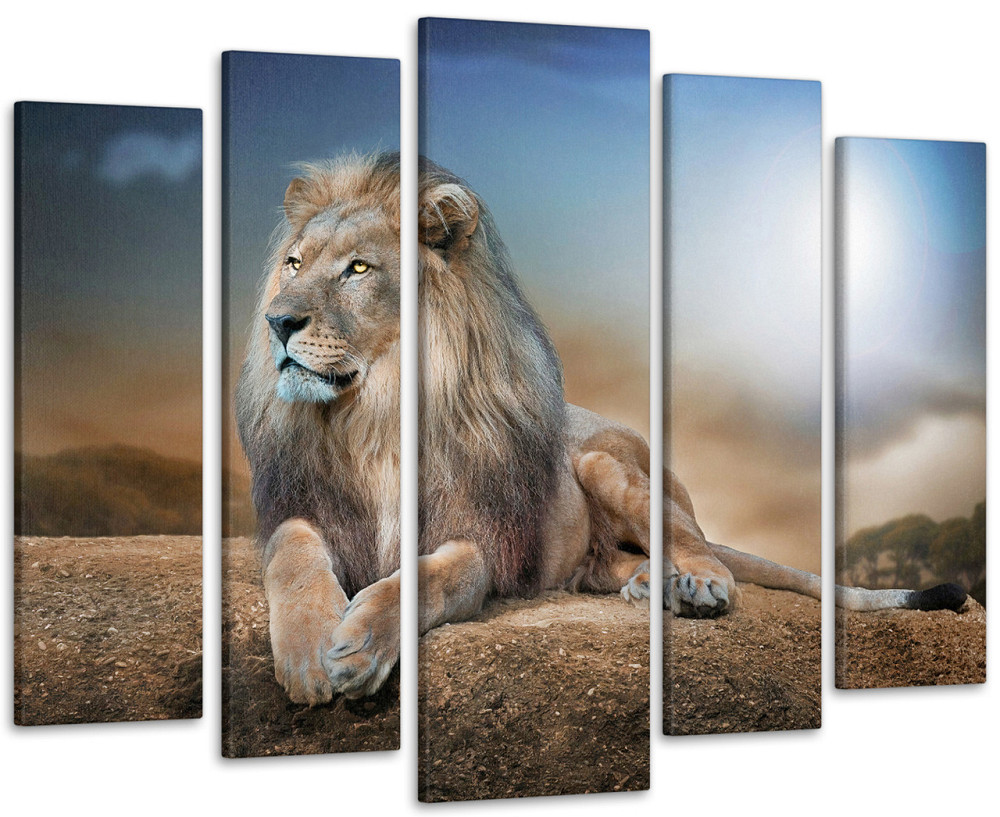 Модульна картина Африка Лев Art-272_5 ( 80х118см ) Київ - фото 1