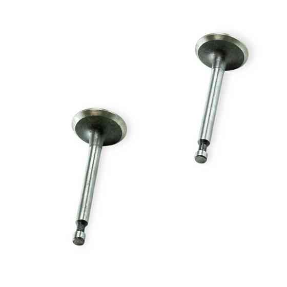 Клапаны на мотоблок 168-170F пара Мукачево