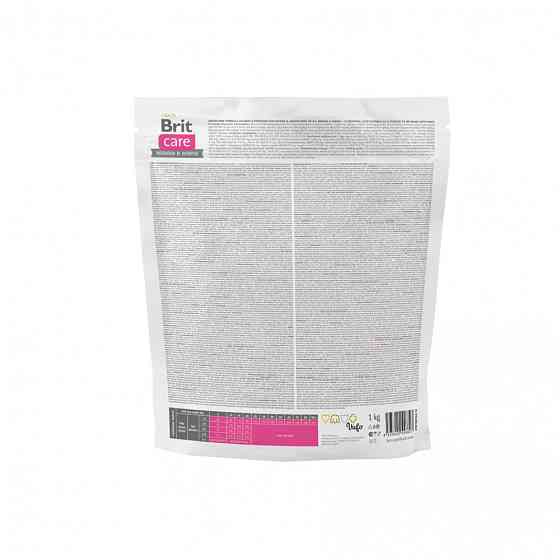 Сухой корм Brit Care Dog Grain-free Puppy для щенков, беззерновой с лососем, 1 кг Винница