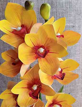 Штучна латексна орхідея цимбідіум у керамічному кашпо жовта Дніпро