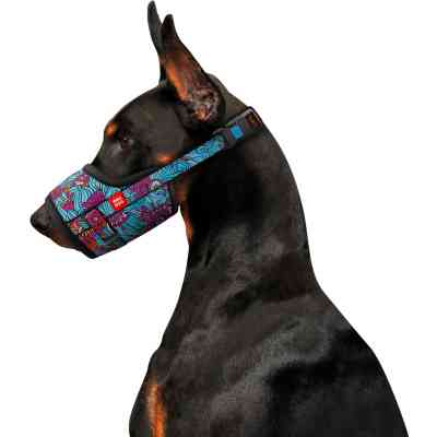 Намордник для собак WAUDOG Nylon Лето №3 (5372) Винница