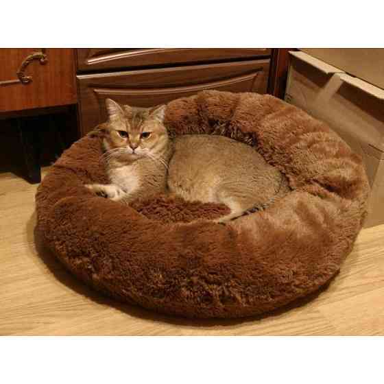 Лежанка для кошек и собак «Ворс» XL (70см), Коричневий Киев