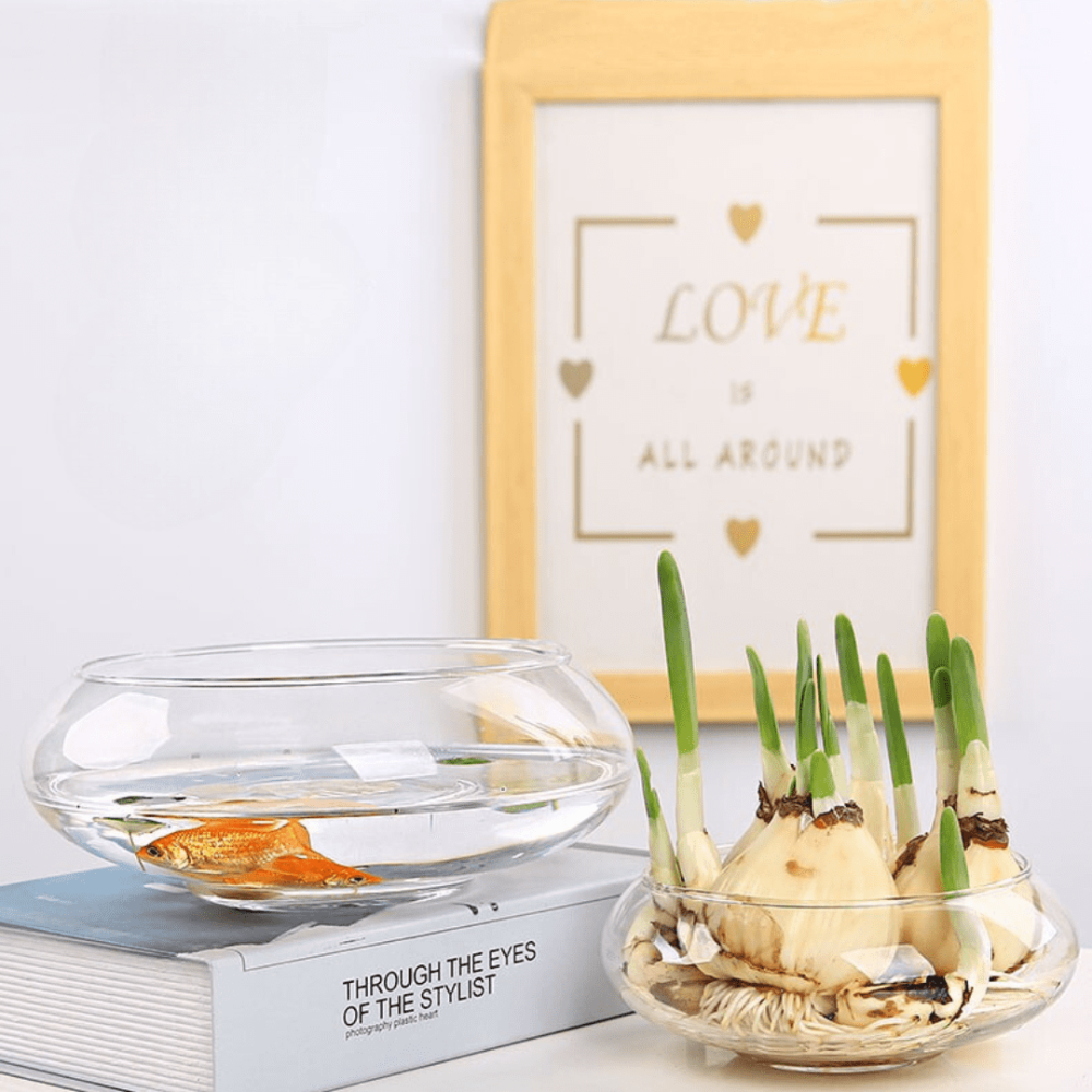 Емкость для флориума диаметр 15 см Чаша для флориума, мосариума, цветочных композиций Одесса - изображение 17