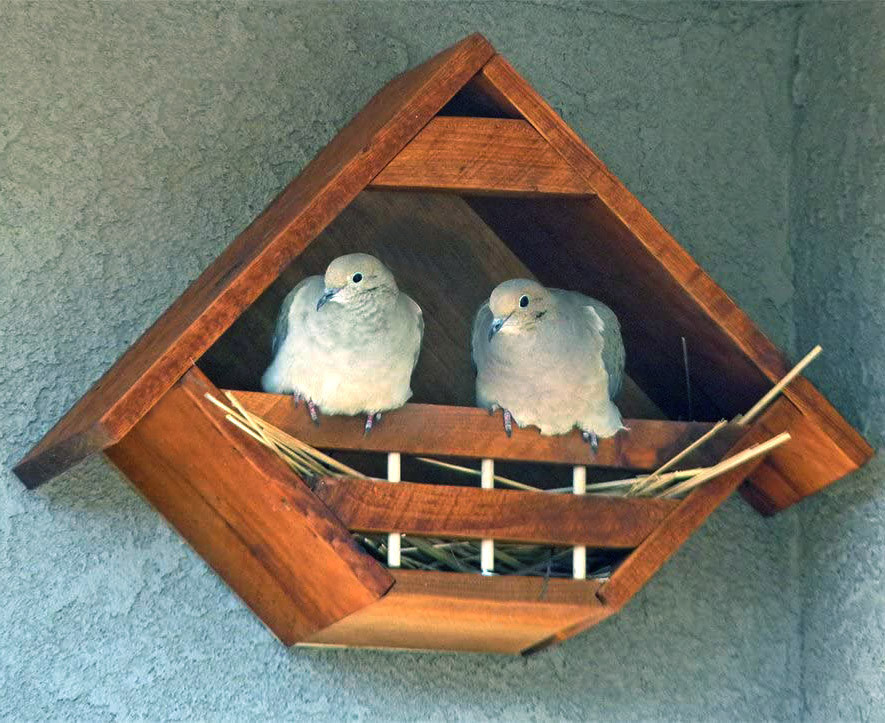 Гнездовье для птиц 