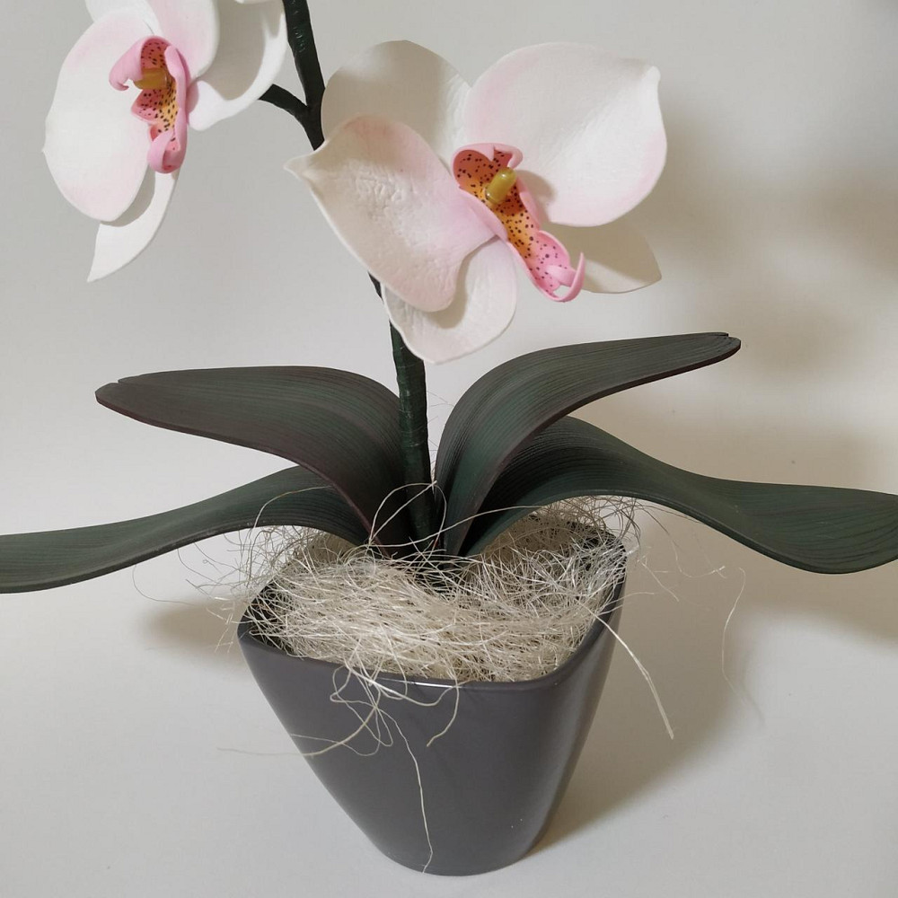 Світильник-нічник "Орхідея Ніжність" Дніпро - фото 3