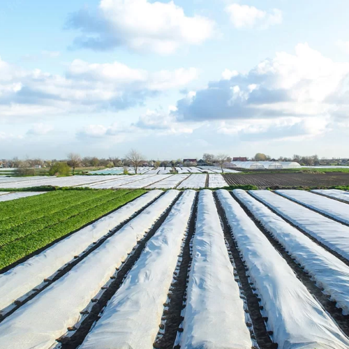 Агроволокно 30гр/м2 (3,2м) 5м Агрін Житомир