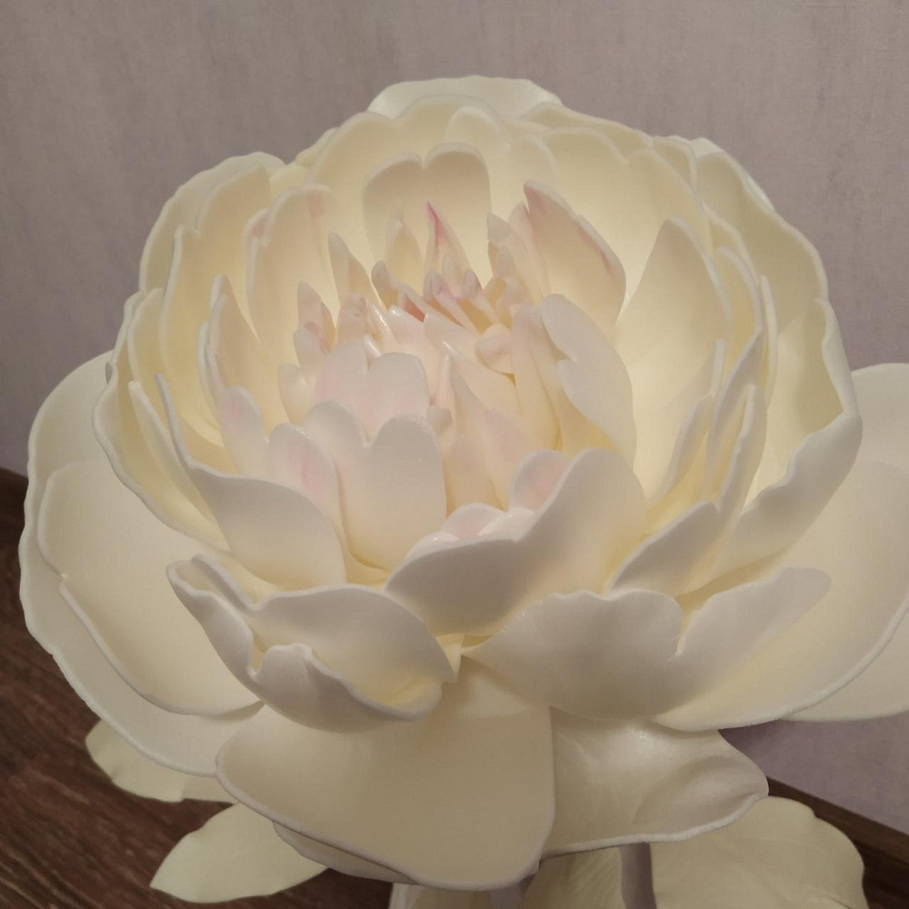 Світильник-нічник "Скандинавський півонія" Дніпро - фото 9